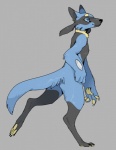 ambiguous_gender anthro black_body black_fur blue_body blue_eyes blue_fur fur grey_background multicolored_body multicolored_fur simple_background smile solo spikes tan_body tan_fur corykatze nintendo pokemon canid canine generation_4_pokemon mammal pokemon_(species) riolu