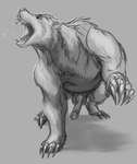 anatomically_correct anatomically_correct_genitalia anatomically_correct_penis angry animal_genitalia animal_penis balls bear bodily_fluids brown_bear claws erection feral genitals grizzly_bear hi_res kuruk_(character) male mammal mane monochrome open_mouth penis roaring saliva saliva_string sephrendemon sheath sketch solo teeth teeth_showing ursine ursine_penis walking