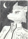 anthro collar male moon night sky solo yopo9810 canid canine canis mammal wolf hi_res traditional_media_(artwork)