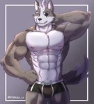 abs anthro big_muscles bulge clothing countershade_torso countershading eye_patch eyebrows eyewear front_view fur furry-specific_brand grey_background grey_body grey_fur hair hand_behind_head hand_on_hip looking_at_viewer male muscular muscular_anthro muscular_male navel nipples obliques pecs pink_nipples simple_background smile solo standing teeth text text_on_clothing text_on_underwear tuft underwear white_body white_countershading white_eyebrows white_fur white_hair robinmg_45 nintendo star_fox wolf_o'donnell canid canine canis mammal wolf 2022 absurd_res english_text hi_res url