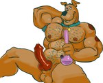 anthro armpit_hair balls body_hair bong collar collar_tag diamond_collar_tag dripping_penis drugs erection genitals knot looking_at_viewer male nipples penis pink_sclera solo stoned substance_intoxication birdy hanna-barbera scooby-doo_(series) scooby-doo canid canine canis domestic_dog great_dane mammal mastiff molosser hi_res