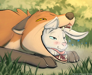 almost_fully_inside blush bodily_fluids countershading digitigrade feral foot_in_mouth fur head_in_mouth oral_vore orange_body orange_fur saliva saliva_string swallowing tongue vore white_body white_fur willing_prey aurorabound canid canine fox lagomorph leporid mammal rabbit red_fox true_fox hi_res