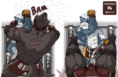 abs anthro aroused aroused_by_another aroused_male back_muscles barazoku beaten_up beating biceps big_bulge big_muscles big_pecs black_bottomwear black_clothing black_elbow_pads black_footwear black_gloves black_handwear black_knee_pads black_shoes black_shorts blue_body blue_eyes blue_fur bodily_fluids bottomwear brown_body brown_fur bulge butt clenched_teeth clothing competition cum cum_from_penis cum_in_clothing cum_in_pants cum_on_own_penis cum_on_penis cum_on_self cum_spurt cum_through_clothing cum_through_pants cumshot defeat defeated detailed_bulge dominant dominant_anthro dominant_male domination/submission duo ejaculating_on_self ejaculation elbow_pads erection erection_under_clothing erection_under_shorts face_punch fist footwear fur genital_fluids genital_outline genitals gloves grin grinning_at_partner handwear impact_play knee_pads knockout male male/male manly masochism mohawk muscular muscular_anthro muscular_arms muscular_male muscular_thighs nipples orange_bottomwear orange_clothing orange_gloves orange_handwear orange_shorts orgasm pecs penis penis_outline punch raised_arm rear_view red_bottomwear red_clothing red_gloves red_handwear red_shorts scratches secretly_horny secretly_loves_it sexual_competition sexual_fight shoes shorts smile smirk smirking_at_another smirking_at_partner smirking_dom sport standing submissive submissive_anthro submissive_male tail teeth tenting text thick_arms thick_thighs tough_guy uppercut vein veiny_muscles wet wet_clothing white_body white_fur naruever canid canine canis domestic_dog mammal wolf english_text