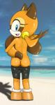 anthro back_groove beach blue_eyes bottomwear bottomwear_down butt clothed clothing cloud detailed_background female fur genitals holding_tail looking_at_viewer looking_back outside partially_clothed presenting presenting_hindquarters pussy rear_view sand seaside shorts shorts_down sky solo spandex spandex_shorts tail tan_body tan_fur tight_bottomwear tight_clothing tight_shorts water young jenokamui sega sonic_the_hedgehog_(series) marine_the_raccoon mammal procyonid raccoon hi_res