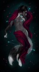 anthro black_body black_fur black_hair black_nipples black_nose front_view fur grey_body grey_fur hair male mouth_closed narrowed_eyes navel nipples nude red_blanket red_eyes simple_background solo text white_body white_fur himeragoldtail canid mammal 2019 artist_name full-length_portrait hi_res portrait