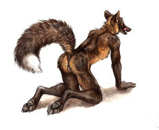 4_toes all_fours anthro anus backsack balls black_claws black_nose brown_body brown_fur butt claws digitigrade dipstick_tail fangs feet fur genitals humanoid_hands licking licking_lips licking_own_lips looking_back male markings multicolored_body multicolored_fur multicolored_tail naughty_face no_sclera nude open_mouth orange_eyes pawpads paws presenting presenting_anus raised_tail self_lick simple_background snout solo tail tail_markings teeth toes tongue tongue_out white_background white_body white_fur kenket canid canine cross_fox fox mammal red_fox true_fox 2015 painting_(artwork) traditional_media_(artwork) traditional_painting_(artwork) traditional_watercolor_(artwork) watercolor_(artwork)