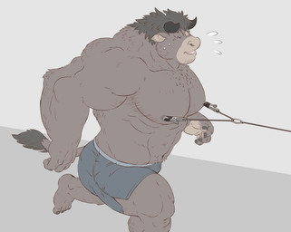 anthro biped blue_bottomwear blue_clothing blue_shorts bodily_fluids bottomwear brown_body brown_fur brown_hair clothed clothing exercise eyes_closed feet fingers flying_sweatdrops fur hair horn male muscular muscular_anthro muscular_male muscular_sub nipple_clamp nipple_fetish nipple_leash nipple_play nipples open_mouth pecs shorts solo submissive sweat sweatdrop tail tail_tuft toes topless tuft workout gadoran bovid bovine mammal