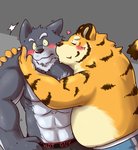 2015 anthro barazoku belly blush canid canine canis clothing duo embrace felid heart_symbol hi_res hug humanoid_hands kemono kissing male male/male mammal muscular overweight overweight_male pantherine simple_background tiger underwear wdh3905 wolf