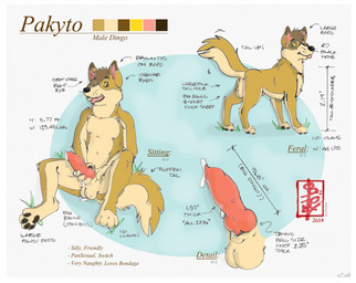 animal_genitalia animal_penis anthro balls border canine_genitalia canine_penis erection feral genitals male masturbation nude penis solo text white_border fennec_(artist) pakyto canid canine canis dingo domestic_dog mammal english_text model_sheet