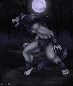 anthro biped dark detailed_background forest fur grey_body grey_fur hair long_hair male moon night open_mouth outside plant sky solo standing star starry_sky tree eliana-asato canid canine canis mammal wolf 2014 dark_theme hi_res