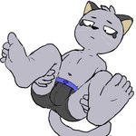 5_fingers 5_toes anthro barefoot bulge feet fingers fur grey_body grey_fur half-closed_eyes holding_both_legs holding_own_legs looking_at_self lying male narrowed_eyes navel on_back plantigrade presenting serious simple_background soles solo spread_legs spreading tail toes white_background nekotanyanneko odd_taxi hajime_tanaka_(odd_taxi) cougar felid feline mammal 1:1 2022 hi_res