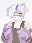 anthro bandage blush clothing fur grey_body grey_fur male one_eye_obstructed shirt solo tank_top topwear undressing mkz_kabeuchi lifewonders tokyo_afterschool_summoners yoshito_(tas) canid canine canis domestic_dog mammal 3:4 hi_res