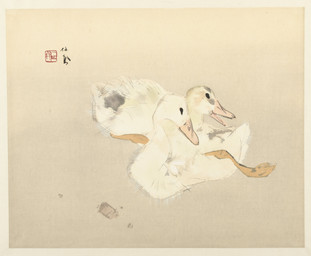 ambiguous_feral ambiguous_gender beak biped bipedal_feral duo feathered_wings feathers feet feral looking_away membrane_(anatomy) open_beak open_mouth simple_background simple_eyes tail tail_feathers toes webbed_feet white_body white_feathers wings takeuchi_seiho public_domain anatid anseriform avian bird duck 1937 20th_century absurd_res ancient_art hi_res traditional_media_(artwork)