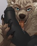 anthro black_penis blue_eyes bodily_fluids brown_body claws duo fur genital_fluids genitals hair licking male nude oral penis penis_grab precum simple_background smile solo tongue tongue_out kazarart canid canine canis mammal wolf hi_res