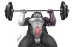 anthro balls barbell bench_press biceps bodily_fluids butt erection exercise fur genitals gym hair lying male muscular muscular_anthro muscular_male nipples nude pecs penis simple_background smile solo weightlifting weights workout adrovmike arkwulfgar canid canine canis mammal wolf digital_media_(artwork)