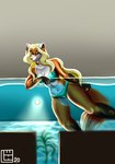 anthro bikini blonde_hair bridge_piercing clothing collar facial_piercing female green_bikini green_clothing green_eyes green_swimwear hair looking_at_viewer navel navel_piercing nose_piercing piercing solo swimming swimwear two-piece_swimsuit underwater water wenqu0304 lynn_(wenqu0304) canid canine fox mammal red_fox true_fox absurd_res hi_res