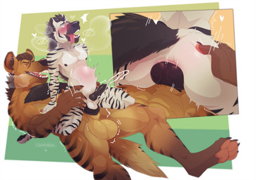 abdominal_bulge anal anal_orgasm anal_penetration animal_genitalia animal_penis anthro anthro_on_anthro anthro_penetrated anthro_penetrating anthro_penetrating_anthro anus ball_size_difference balls black_hair black_nipples black_penis blush bodily_fluids brown_balls brown_body brown_fur brown_hair brown_sheath canine_genitalia canine_penis cum cum_inside cum_on_own_penis cum_on_penis cum_on_self cum_while_penetrated cumshot duo ear_piercing ear_ring ejaculation erection feet fur genital_fluids genitals grabbing_hips hair hands-free heart_symbol hindpaw interspecies knot_sitting knotting male male/male male_penetrated male_penetrating male_penetrating_male markings nipples orgasm orgasm_face pawpads paws penetration penile penile_penetration penis penis_in_ass penis_riding penis_size_difference piercing pink_anus predator/prey pushing ring_piercing sex sheath size_difference size_play striped_markings stripes tongue_hanging_out white_anus white_balls white_body white_fur white_sheath local_cannibal lester_(mastiffdog) hyena mammal striped_hyena 2018 absurd_res hi_res