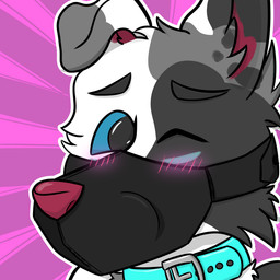 anthro blush collar floppy_ears male muzzle_(object) muzzled solo foxyroxford gordiethecollie canid canine canis domestic_dog mammal 1:1 hi_res