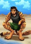 anthro beach clothed clothing male muscular muscular_anthro muscular_male seaside smile solo stripes summer sevenarms felid mammal pantherine tiger 2019 digital_media_(artwork)