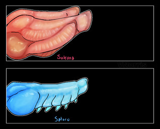 2_penises animal_genitalia animal_penis blue_penis chart comparing comparing_penis duo genitals hemipenes knot knotted_penis male multi_genitalia multi_penis penis penis_chart pink_penis ridged_knotted_penis ridged_penis spiked_penis spikes spikes_(anatomy) text thick_penis puppetmaster13uwu jujutsu_kaisen mythology gojo_satoru sukuna_(jujutsu_kaisen) dragon mythological_creature mythological_scalie scalie english_text