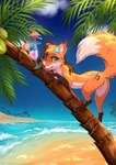 beach beverage featureless_crotch female feral fur orange_body orange_fur palm_tree plant seaside solo tongue tongue_out tree water rukifox yumi_(yatofox) canid canine fox mammal hi_res