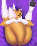 anthro bed butt claws covering covering_self cut_ear ear_piercing ear_ring feet female flesh_tunnel fluffy fluffy_tail fur furniture gauged_ear lying on_back on_bed pawpads paws piercing ring_piercing soles solo tail toe_claws toes yellow_body yellow_eyes yellow_fur mike_santos bandai_namco digimon canid canine digimon_(species) mammal renamon absurd_res hi_res