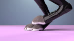 anthro clothing feet female latex paws solo bdanimare disney zootopia judy_hopps lagomorph leporid mammal rabbit 16:9 2017 3d_(artwork) 3d_animation animated digital_media_(artwork) hi_res high_framerate loop no_sound short_playtime turntable_(animation) webm widescreen