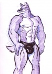 2007 abs anthro athletic biceps big_muscles biped bulge canid canine canis clothed clothing detailed_bulge domestic_dog fur genital_outline grey_body grey_fur jockstrap male mammal muscular muscular_anthro muscular_male nipples pecs penis_outline poop_(artist) pose sketch solo speedo standing swimwear topless underwear white_body white_fur