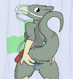 air_tank animal_genitalia anthro bodily_fluids breathing_apparatus cloaca cloaca_juice curtains feathers female genital_fluids genitals mask medical_instrument nitrogen_(element) oxygen_mask presenting presenting_cloaca rear_view scientific_instrument solo spread_cloaca spreading cap'n space_station_13 alien avian vox_(space_station_13)