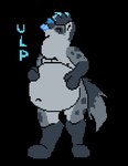 anthro belly big_belly blue_tongue bouncing_belly hair hand_on_belly male navel sloshing_belly swallowing tongue unseen_prey vore hausedge hyena mammal 2016 animated low_res short_playtime