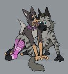 anthro bdsm cheek_lick clothing collar cuddling duo eyes_closed face_lick footwear kneeling licking looking_at_viewer male male/male mane nude open_mouth petplay roleplay sitting size_difference skinny socks tongue tongue_out whiskers ricthecusco canid canine canis domestic_dog hyena mammal striped_hyena