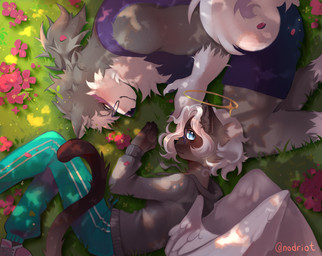 angelic anthro blue_eyes blush bottomwear cat_tail clothing duo flower footwear fur grass grey_body grey_fur hair halo hoodie looking_at_viewer lying lying_on_ground male male/male on_ground on_side plant shirt shoes shorts sneakers tail tank_top topwear white_body white_fur white_hair nodriot canid canine canis domestic_dog felid feline mammal hi_res