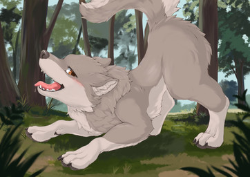 4_toes ambiguous_gender ass_up black_nose blush bodily_fluids brown_eyes butt claws countershading day detailed_background fangs feet feral fluffy forest fur grass grey_body grey_fur inner_ear_fluff multicolored_body multicolored_fur nature nature_background open_mouth orange_eyes outside pawpads paws pink_tongue plant quadruped raised_tail saliva side_view smile solo tail teeth toes tongue tongue_out tree tuft white_body white_fur fusau canid canine canis mammal wolf 2022 absurd_res detailed digital_media_(artwork) hi_res