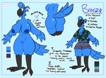 anthro areola avian_feet beak big_breasts big_butt blue_body breasts butt clitoris feathers female genitals mickey_mouse_symbol nipples non-mammal_breasts solo tail tail_feathers text thick_thighs toony toonsexual avian bird macaw neotropical_parrot parrot true_parrot english_text hi_res model_sheet