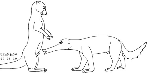 animal_genitalia duo eye_contact feet feral frown fur genitals imminent_oral looking_at_another male male/male open_mouth sheath standing tail urbanhermit hybrid mammal mustelid otter species_request 1992 dated monochrome