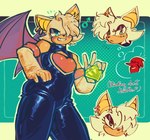 anthro blue_eyes bulge chaos_emerald chest_window clothing crossgender eyeshadow ftm_crossgender fur gem hair hair_over_eye leotard makeup male pecs skintight_suit smile smirk solo white_body white_fur wings verski7 sega sonic_the_hedgehog_(series) rogue_the_bat_(nikkikaji) rouge_the_bat bat mammal hi_res