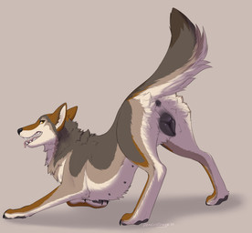 anatomically_correct anatomically_correct_anus anatomically_correct_genitalia anatomically_correct_vulva animal_genitalia animal_vulva anus ass_up black_anus black_nipples black_nose black_pawpads black_vulva brown_body brown_fur butt canine_genitalia canine_vulva claws female feral fur genitals grey_body grey_fur looking_at_viewer looking_back markings monotone_anus monotone_genitals multi_nipple multicolored_body multicolored_fur nipples pawpads paws pink_tongue plump_labia presenting presenting_anus presenting_hindquarters presenting_vulva quadruped rear_view seductive simple_background solo tail tail_anus text toe_claws tongue tongue_out vulva whisker_markings white_body white_fur yellow_eyes demilustdragon canid canine canis coyote mammal 2023 absurd_res artist_name dated english_text hi_res signature