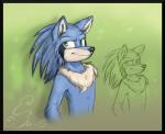 anthro anthrofied black_nose blue_body blue_fur chest_fuzz chest_tuft fur green_eyes male multicolored_body multicolored_fur solo tan_body tan_fur tuft two_tone_body two_tone_fur bughs-22 sega sonic_the_hedgehog_(series) sonic_the_hedgehog eulipotyphlan hedgehog mammal 2015 multiple_versions