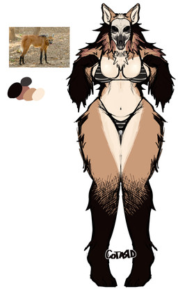 anthro bikini bone clothing female pattern_bikini pattern_clothing pattern_swimwear skull skull_head solo standing striped_bikini striped_clothing striped_swimwear stripes swimwear two-piece_swimsuit cotard ministro_(cotard) canid canine mammal maned_wolf hi_res reference_image