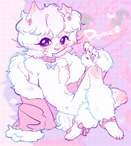 anthro chest_tuft collar fluffy kemono male pawpads paws solo tuft takoya_de canid canine canis domestic_dog mammal pomeranian spitz hi_res
