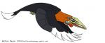 2014 action_pose angry artist_name avian avian_caruncle beak biped bird black_beak black_body black_feathers black_stripes black_tail black_tail_feathers black_text black_wings blue_markings brown_eyes bucerotiform dark_body dark_feathers dark_tail dark_tail_feathers dark_text dark_wings dewlap_(anatomy) digital_drawing_(artwork) digital_media_(artwork) dipstick_tail eye_markings facial_markings feathered_wings feathers feral flat_colors flying full-length_portrait head_markings hornbill jamminbison light_body light_feathers light_tail light_tail_feathers light_wings looking_down male markings midair multicolored_beak multicolored_body multicolored_feathers multicolored_tail multicolored_wings open_beak open_mouth orange_body orange_feathers portrait pose rufous-necked_hornbill side_view simple_background solo striped_beak stripes tail tail_feathers tail_markings tan_beak text thick_beak toony two_tone_beak two_tone_tail two_tone_tail_feathers two_tone_wings url wattle white_background white_body white_feathers white_tail white_tail_feathers white_wings winged_arms wings year yellow_beak