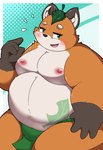 anthro asian_clothing belly big_belly blush brown_body clothing east_asian_clothing fundoshi green_clothing green_fundoshi green_underwear japanese_clothing kemono leaf male moobs nipples open_mouth orange_body overweight overweight_male solo underwear kusosensei canid canine fox mammal 2025 hi_res