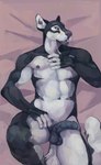 absurd_res alaskan_malamute anthro bed bedroom_eyes belly belly_markings blue_eyes canid canine canis casual_erection casual_nudity chest_markings domestic_dog erection furniture genitals gloves_(marking) hairless_balls hand_on_chest hand_on_leg hand_on_thigh hi_res humanoid_genitalia humanoid_penis infinite infinity_symbol leg_markings male mammal markings narrowed_eyes navel neck_markings nemera nipples nordic_sled_dog nude open_mouth penis pinup pose presenting presenting_balls presenting_penis seductive shaved_fur short_fur smooth_balls solo spitz symbol tail teeth_showing thigh_markings thighs_up tongue wolf wolfywetfurr young_adult