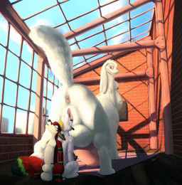 anal anal_penetration anal_vore anthro balls big_ears big_penis breasts floppy_ears fur genitals group herm huge_penis hyper hyper_genitalia hyper_penis intersex male penetration penis tongue tongue_out unbirthing vaginal vaginal_penetration vore white_body white_fur secretden basilic_(character) canid canine canis chakat felid felid_taur fox mammal mammal_taur taur wolf animated