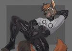 anthro bodysuit bulge clothing collar crop_top latex latex_bodysuit latex_clothing latex_skinsuit licking licking_lips looking_at_viewer male open_mouth open_smile shirt skinsuit smile solo spreading tail tight_clothing tongue topwear idrysse3 hyena mammal hi_res