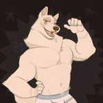 abs anthro barazoku belly clothing male muscular muscular_anthro muscular_male panties smile solo underwear white_body barawerewolf koda_jd canid canine canis domestic_dog mammal wolf 1:1