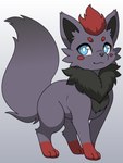 3:4 absurd_res blue_eyes canid chest_tuft feral fur generation_5_pokemon grey_body grey_fur hair hi_res light lighting looking_at_viewer male mammal momobutt neck_tuft nintendo paws pokemon pokemon_(species) red_hair shaded solo tail tuft zach_(yzzie) zorua