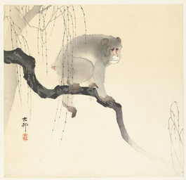 5_fingers 5_toes ambiguous_feral ambiguous_gender branch cjk_character feet feral fingers fur half-closed_eyes narrowed_eyes on_branch plant quadruped short_tail side_view simple_background solo standing tail toes tree ohara_koson public_domain haplorhine mammal monkey primate 20th_century absurd_res ancient_art hi_res traditional_media_(artwork)