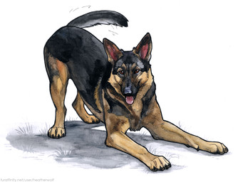 4_toes ambiguous_feral ambiguous_gender black_body black_fur black_nose black_tail brown_eyes brown_pawpads cheek_tuft claws digitigrade facial_tuft feet feral fur grass hindpaw open_mouth pawpads paws plant quadruped red_tongue simple_background solo tail tail_motion tailwag tan_body tan_fur toe_claws toes tongue tongue_out tuft whiskers white_background heatherwolf canid canine canis domestic_dog german_shepherd herding_dog mammal pastoral_dog 2025 hi_res male_(lore)