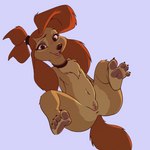 1:1 2022 4_toes anthro anus arsemaus black_nose brown_eyes brown_hair butt canid canine canis claws clitoral_hood clitoris collar conditional_dnp digital_media_(artwork) disney dixie_(tfath) domestic_dog eyelashes feet female fur genitals hair hi_res hunting_dog looking_at_viewer mammal pawpads paws pink_pussy presenting presenting_anus presenting_hindquarters presenting_pussy psy101 pussy saluki sighthound simple_background solo spread_legs spreading tan_body tan_fur the_fox_and_the_hound toes tongue